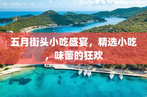 五月街头小吃盛宴，精选小吃，味蕾的狂欢