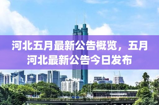 河北五月最新公告概览，五月河北最新公告今日发布