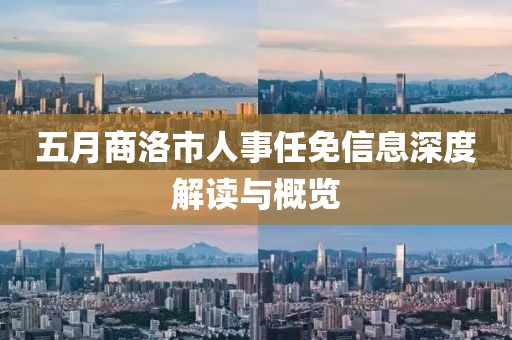 五月商洛市人事任免信息深度解读与概览