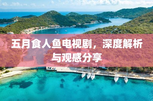 五月食人鱼电视剧，深度解析与观感分享