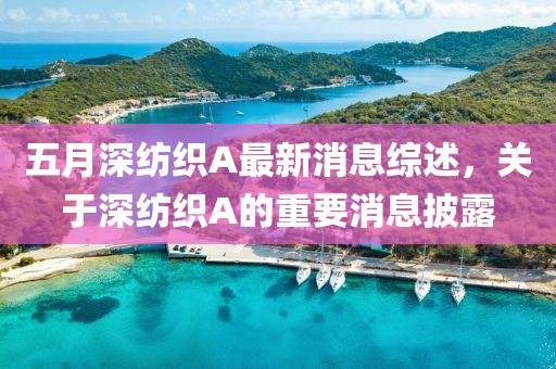 五月深纺织A最新消息综述，关于深纺织A的重要消息披露