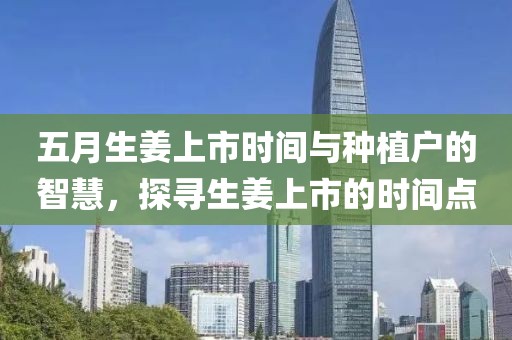 五月生姜上市时间与种植户的智慧，探寻生姜上市的时间点