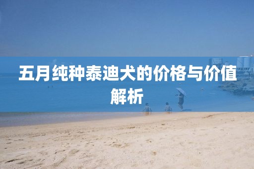 五月纯种泰迪犬的价格与价值解析
