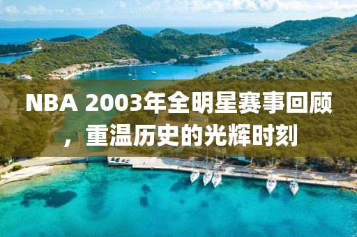 NBA 2003年全明星赛事回顾，重温历史的光辉时刻