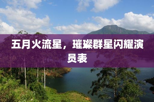 五月火流星，璀璨群星闪耀演员表