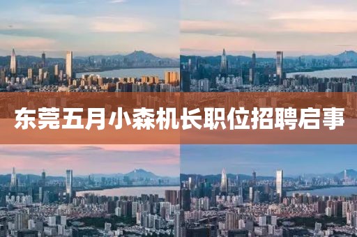 东莞五月小森机长职位招聘启事