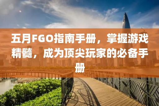 五月FGO指南手册，掌握游戏精髓，成为顶尖玩家的必备手册