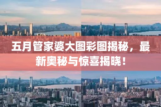 五月管家婆大图彩图揭秘，最新奥秘与惊喜揭晓！