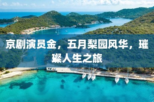 京剧演员金，五月梨园风华，璀璨人生之旅
