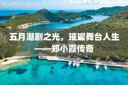 五月潮剧之光，璀璨舞台人生——郑小霞传奇