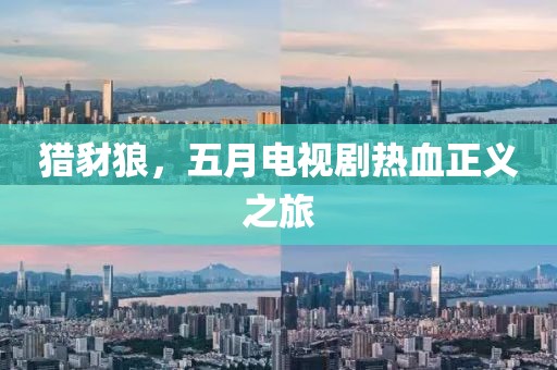 猎豺狼，五月电视剧热血正义之旅
