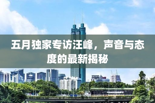 五月独家专访汪峰，声音与态度的最新揭秘