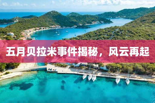 五月贝拉米事件揭秘，风云再起