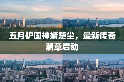 五月护国神婿楚尘，最新传奇篇章启动