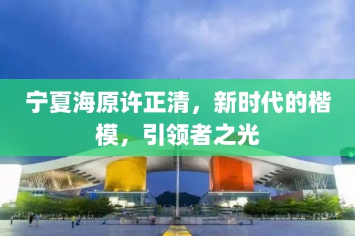 宁夏海原许正清，新时代的楷模，引领者之光