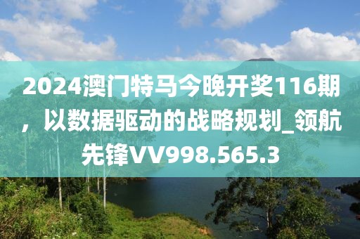 2024澳门特马今晚开奖116期，以数据驱动的战略规划_领航先锋VV998.565.3