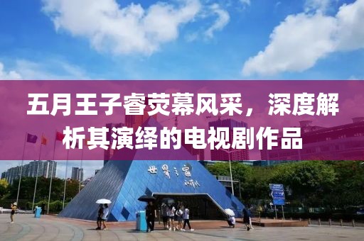 五月王子睿荧幕风采，深度解析其演绎的电视剧作品