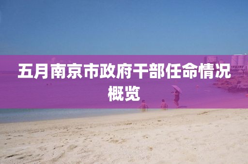 五月南京市政府干部任命情况概览