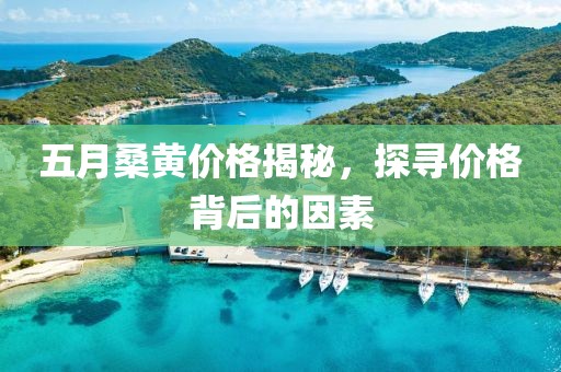 五月桑黄价格揭秘，探寻价格背后的因素