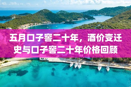 五月口子窖二十年，酒价变迁史与口子窖二十年价格回顾
