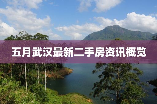 五月武汉最新二手房资讯概览