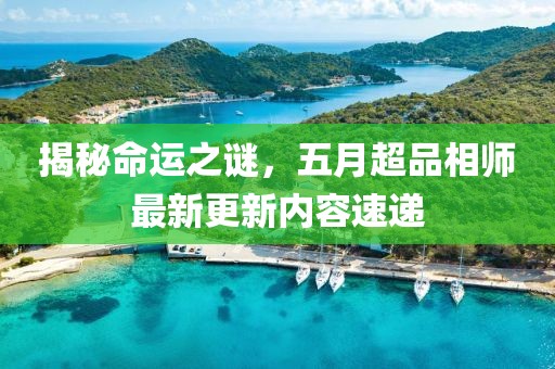 揭秘命运之谜，五月超品相师最新更新内容速递