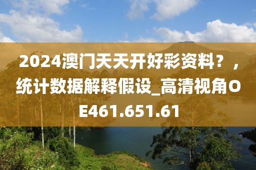 2024澳门天天开好彩资料？，统计数据解释假设_高清视角OE461.651.61
