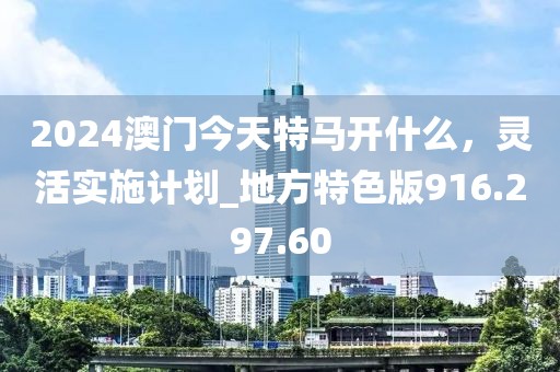 2024澳门今天特马开什么，灵活实施计划_地方特色版916.297.60
