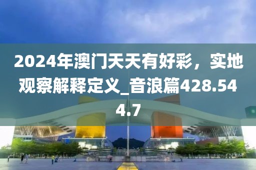 2024年澳门天天有好彩，实地观察解释定义_音浪篇428.544.7