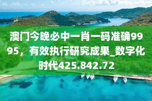 澳门今晚必中一肖一码准确9995，有效执行研究成果_数字化时代425.842.72