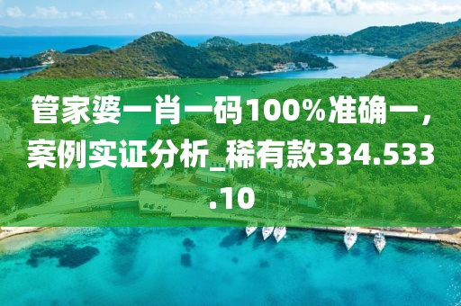 管家婆一肖一码100%准确一，案例实证分析_稀有款334.533.10