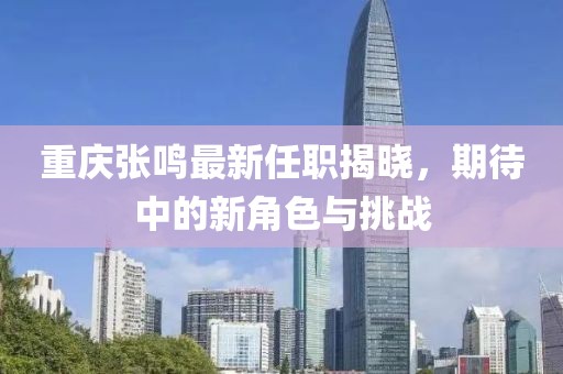 重庆张鸣最新任职揭晓，期待中的新角色与挑战
