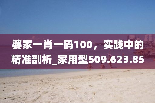 婆家一肖一码100，实践中的精准剖析_家用型509.623.85