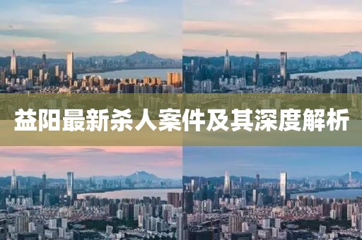 益阳最新杀人案件及其深度解析
