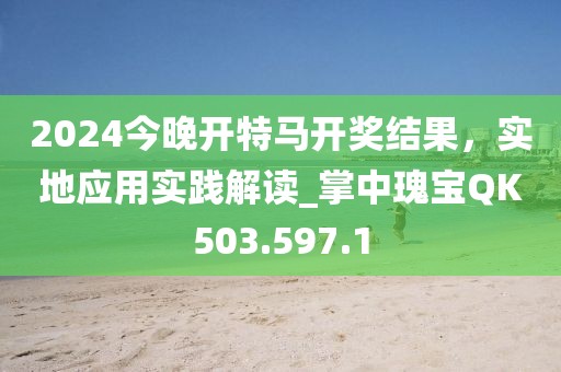 2024今晚开特马开奖结果，实地应用实践解读_掌中瑰宝QK503.597.1