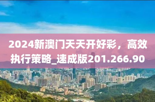 2024新澳门天天开好彩，高效执行策略_速成版201.266.90