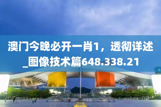 澳门今晚必开一肖1，透彻详述_图像技术篇648.338.21