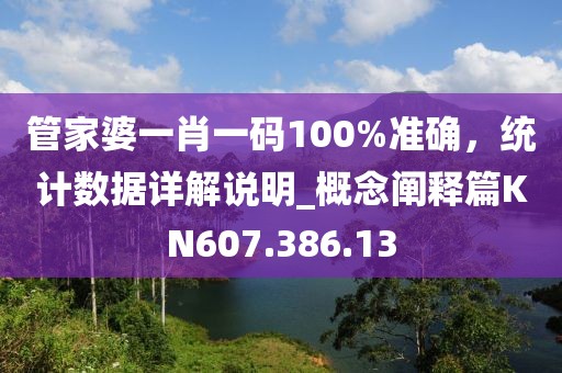 管家婆一肖一码100%准确，统计数据详解说明_概念阐释篇KN607.386.13