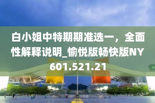 白小姐中特期期准选一，全面性解释说明_愉悦版畅快版NY601.521.21