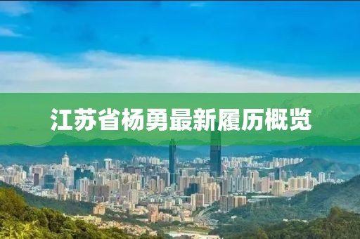 江苏省杨勇最新履历概览