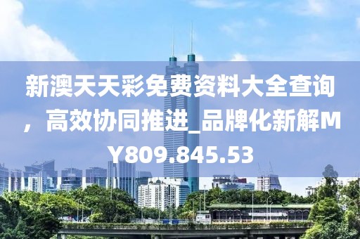 新澳天天彩免费资料大全查询，高效协同推进_品牌化新解MY809.845.53