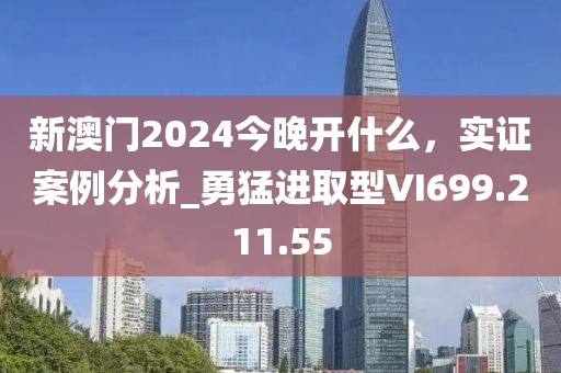 新澳门2024今晚开什么，实证案例分析_勇猛进取型VI699.211.55