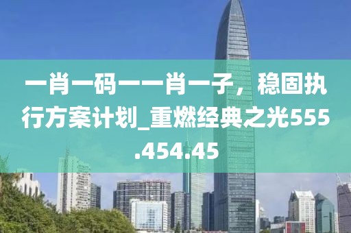 一肖一码一一肖一子，稳固执行方案计划_重燃经典之光555.454.45