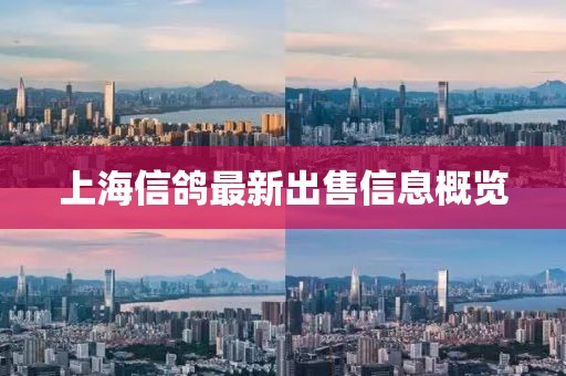 上海信鸽最新出售信息概览