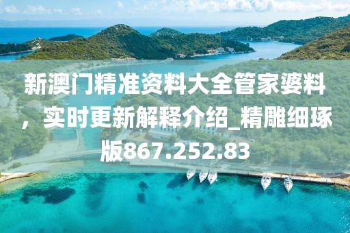 新澳门精准资料大全管家婆料，实时更新解释介绍_精雕细琢版867.252.83