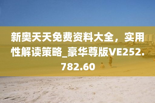 新奥天天免费资料大全，实用性解读策略_豪华尊版VE252.782.60