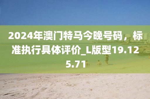 2024年澳门特马今晚号码，标准执行具体评价_L版型19.125.71
