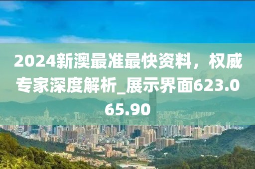 2024新澳最准最快资料，权威专家深度解析_展示界面623.065.90