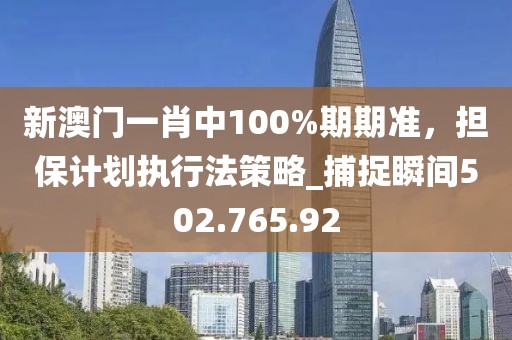 新澳门一肖中100%期期准，担保计划执行法策略_捕捉瞬间502.765.92