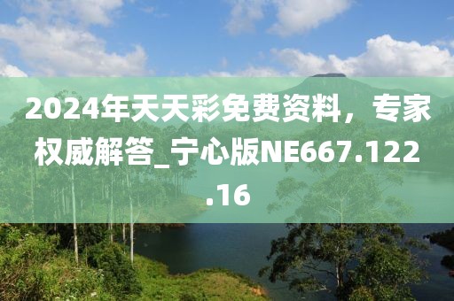 2024年天天彩免费资料，专家权威解答_宁心版NE667.122.16